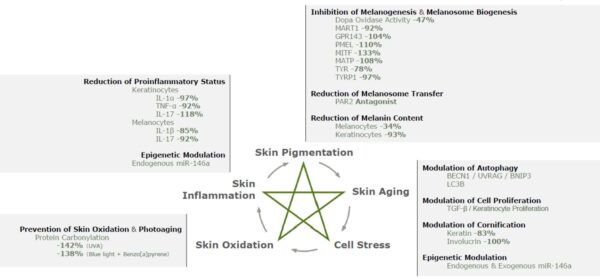 MezoCrystal Highlihter Serum - MezoCrystal sära andev seerum - Image 3